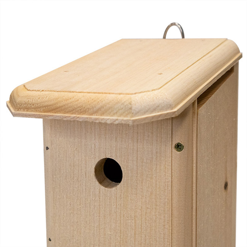 Cabane à oiseaux Shaelea House Wren