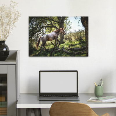 Wild Horse In Forest Peaceful Serene Tranquil Horse Forest Nature Wall Art Print 1 Piece Wrapped Canvas Wall Art