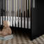 Lit de bébé convertible 3-en-1 Calabasas-95754528