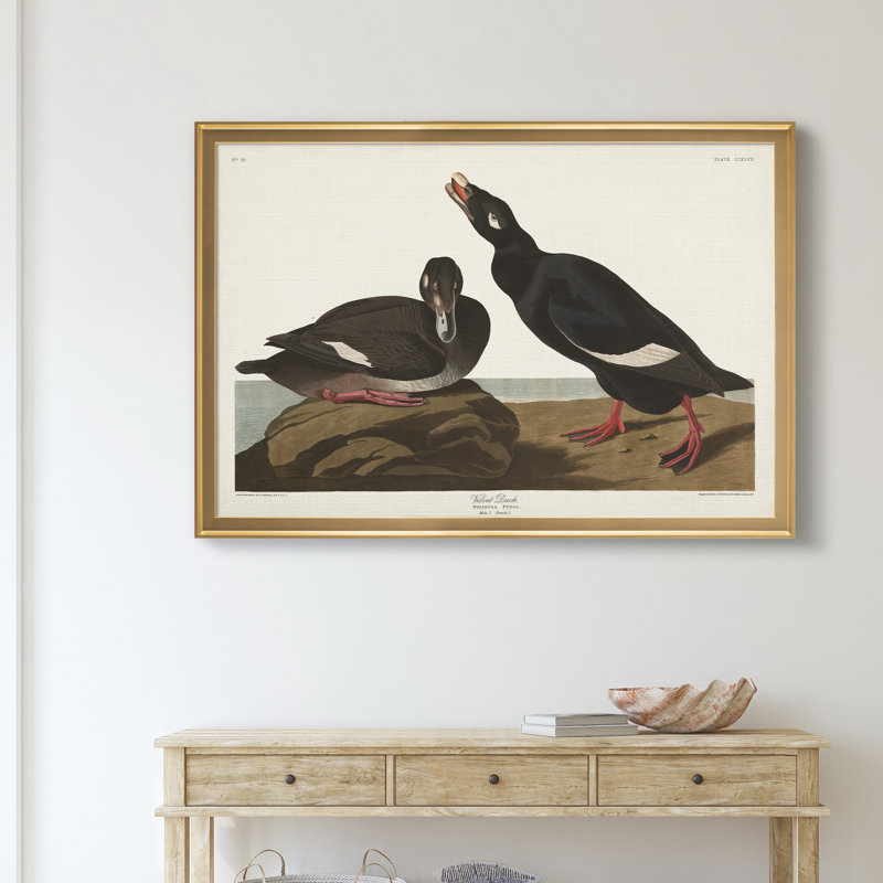 Velvet Duck - reproduction de cadre photo sur toile, H 26,5 po x l 36,5 po x P 1,5 po, Doré