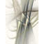 Senic Print by Rica Belna-71199788-83320899-71199789