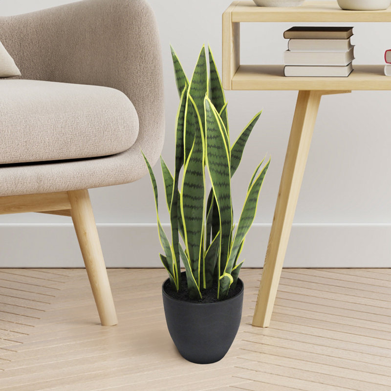 Plante de serpent artificielle Sansevieria en pot, H 26 po x l 12 po x P 12 po