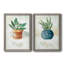 Sauge en pot - ensemble de 2 peintures sur toile encadrées-1860003664-1860003676