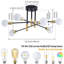 Lustre sphérique Spoutnik à 6 lumières Aethan