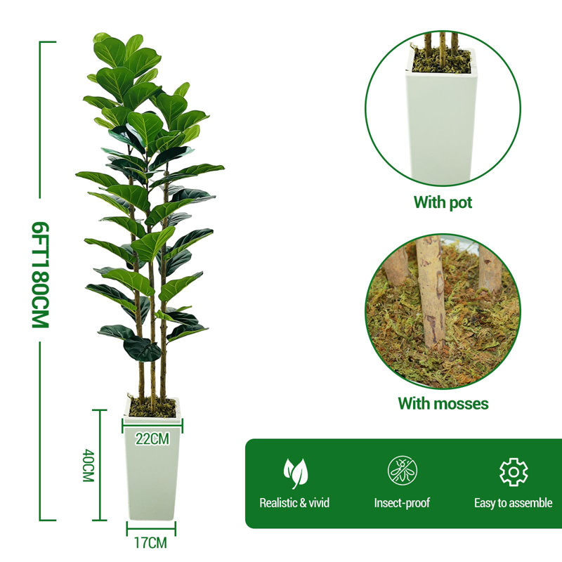 180cm Plant