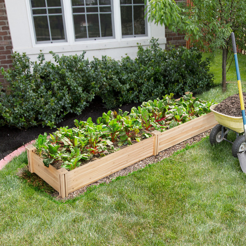 Cisbrough Multi-sized Outdoor Fir Wood Elevated Planter Box for Yard, 11" H X 95" W X 25" D, Wood