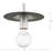 1 - Light Single Pendant-1237109368