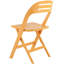 Chaise pliante en plastique Drevaughn-1259066258