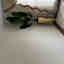Customer photo 2 of 3