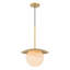 Luminaire suspendu 1 lumière Olenne