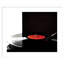 Spin by Alicia Abla-247445745-247445759