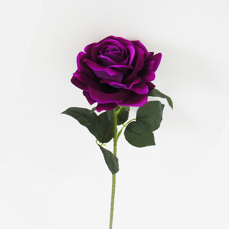 Grandes tiges roses en velours, Mauve prune