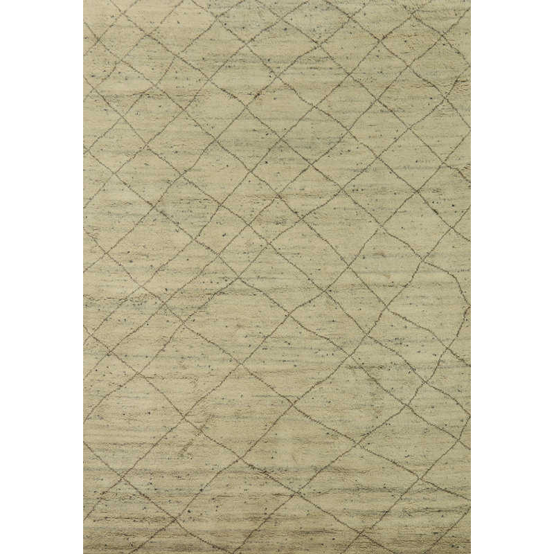 Trellis Wool Moroccan Indian Area Rug 9x12