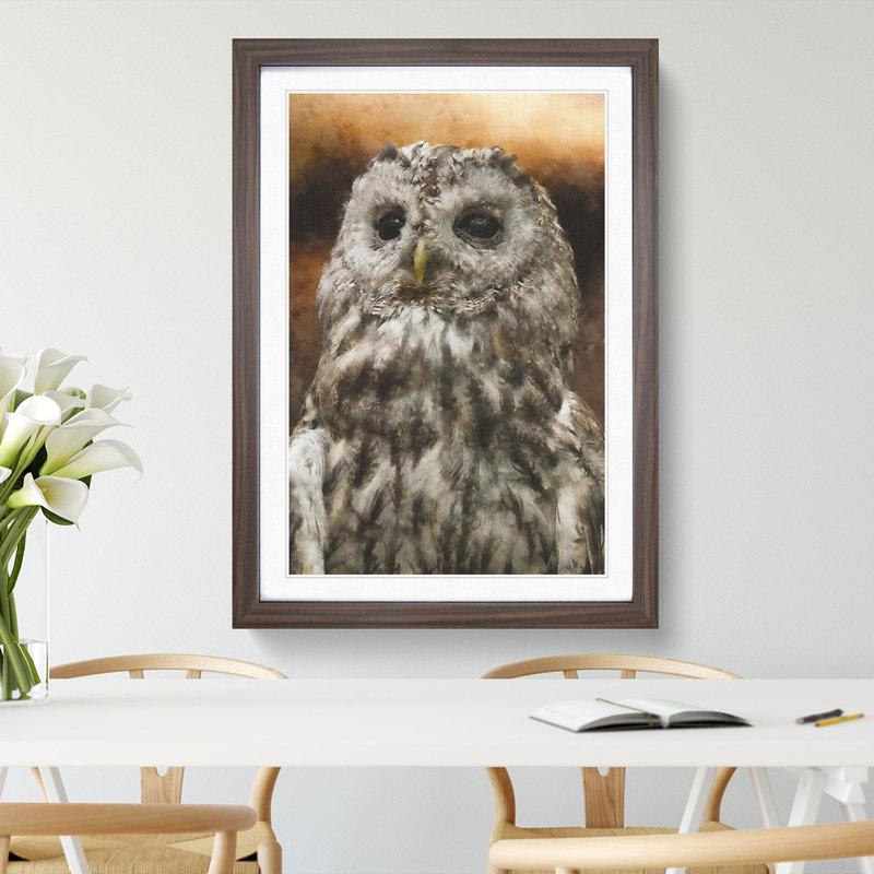 Tawny Owl Vol.1 - Picture Frame Graphic Art, Walnut, 36cm H x 27cm W x 2cm D