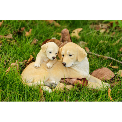Mother and Baby Labrador