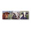 Moo Moo Set By John Beard Print-1870293512