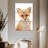 Brampt Baby Fox-108542985