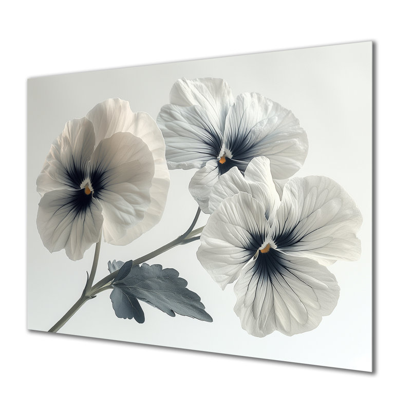 Décoration murale blanc blanc botanique beauté I - pensées, Sans cadre, H 30 po x l 40 po