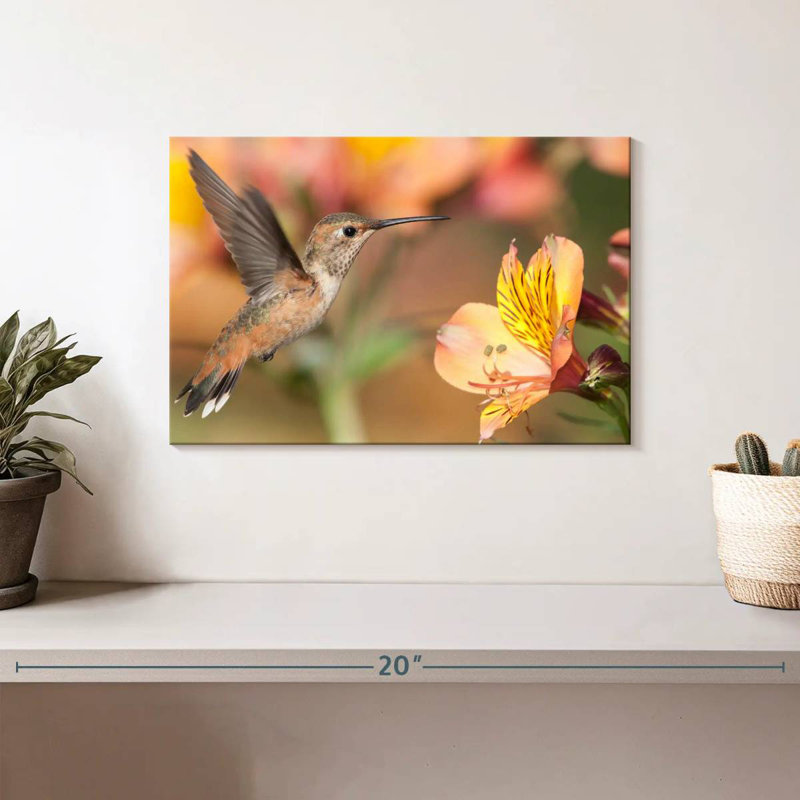 Brampt Charming Hummingbird, 8" H x 12" W