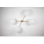 Stella 4 - Light Chandelier