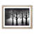 Oak Framed