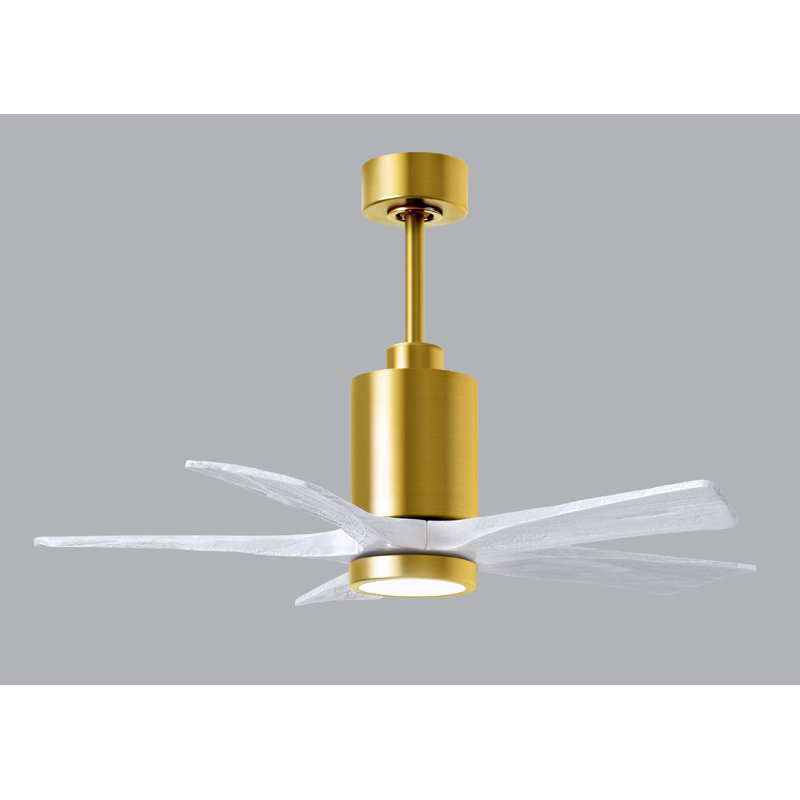 Patricia LED Downrod Ceiling Fan, Matte White, Brushed Brass