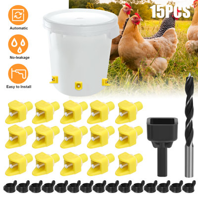 Fhionn Waterer