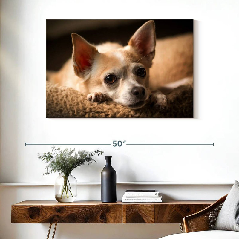 Brampt Resting Chihuahua, 26" H x 39" W