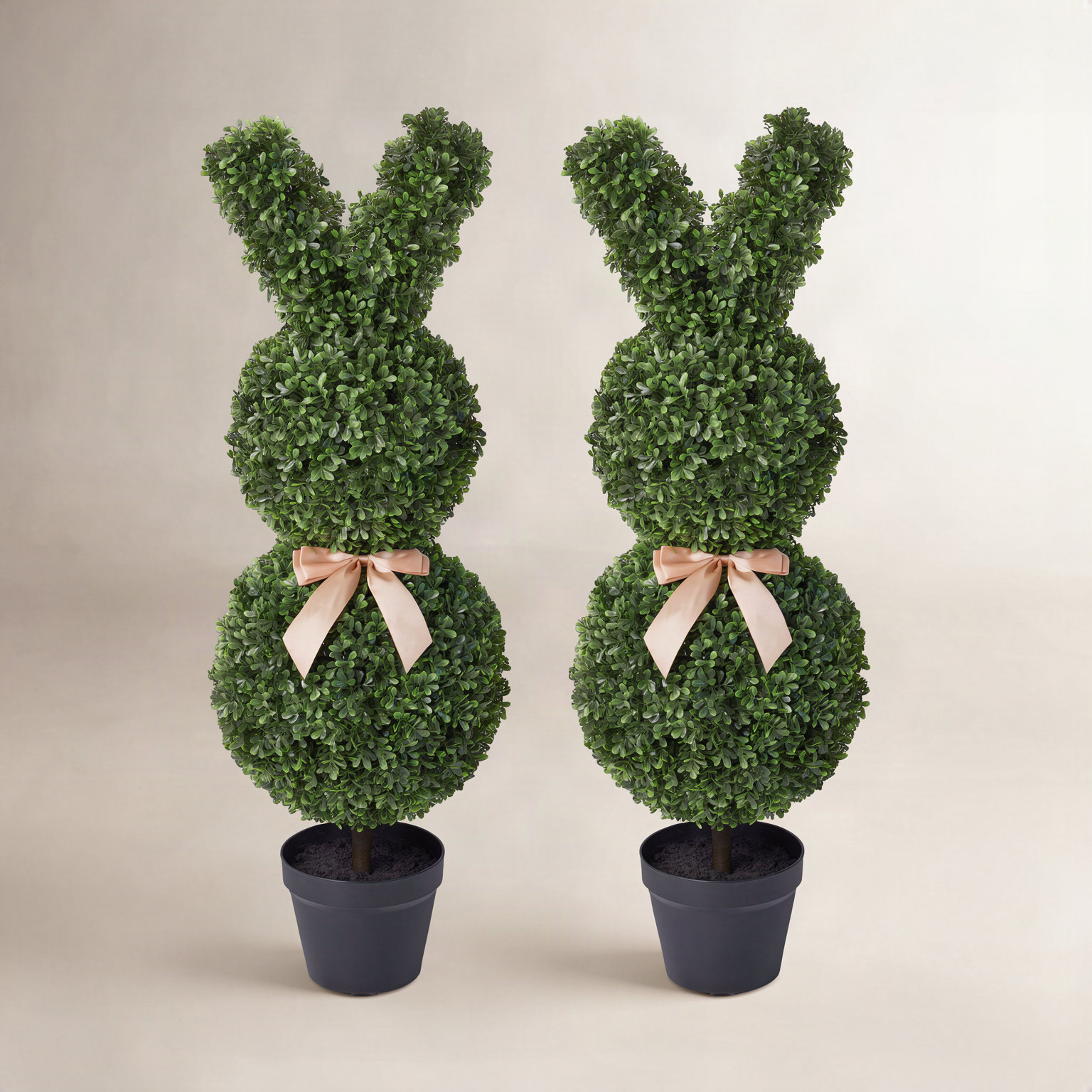 Ashwell 36" Boxwood Topiary in Pot