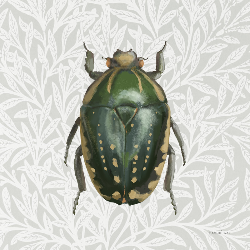 Beetles and Butterflies II par Danhui Nai, H 12 po x l 12 po