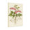 «Plants & Flowers Heart Flower», reproduction d'art botanique