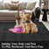 Modern Abstract Area Rugs for Living Room Soft Low-Pile Carpet Washable Rugs Indoor Foldable Printed Textured Floor Carpet Non Slip Mat Rug for Office Dining Room
