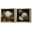 Cotton Balls I - Cadre photo-1492861059-1492861056-1492861069