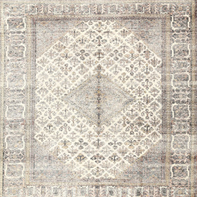 Villebois Oriental Indoor Rug