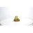 Tree Frog
