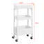 Wiese Cabinet Shelving Rack