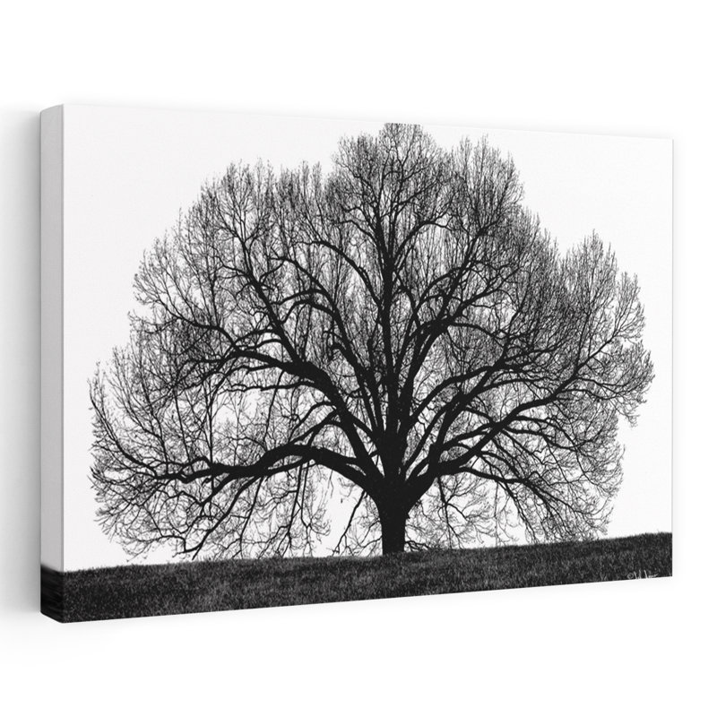 Arbre contemporain abstrait, H 16 po x l 24 po