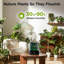 Humidificateur intelligent pour chambre 6L-109846366
