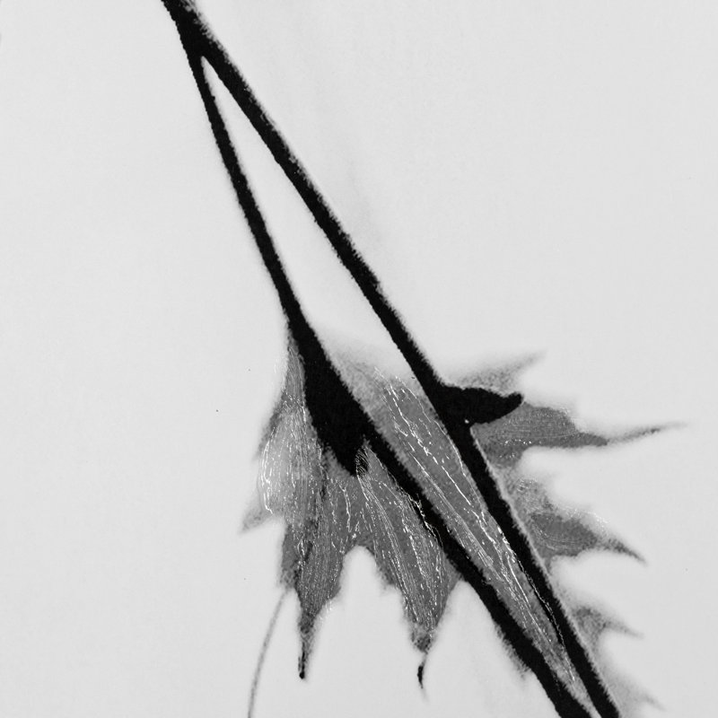 Hanging by Rebecca Cozart a Hand Embelished Textured Framed Art Print Matted under Glass, Subtle