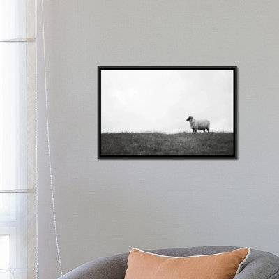Photographie « islay ovin ii »