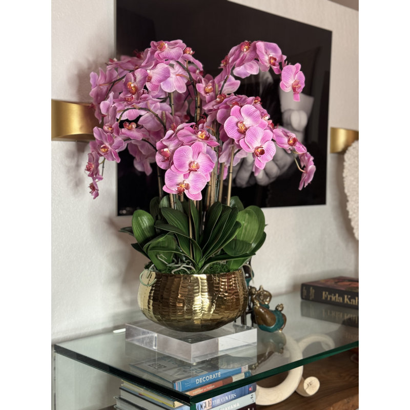 Orchidée Roberi dans un pot à fleurs, H 28 po x l 18 po x P 18 po