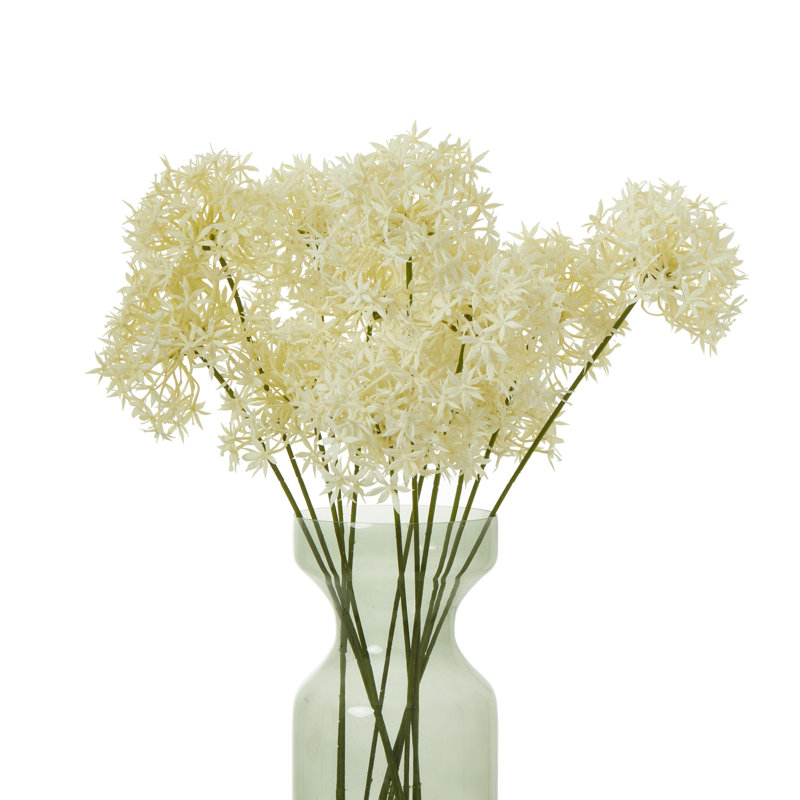 Anastasija Arrangement