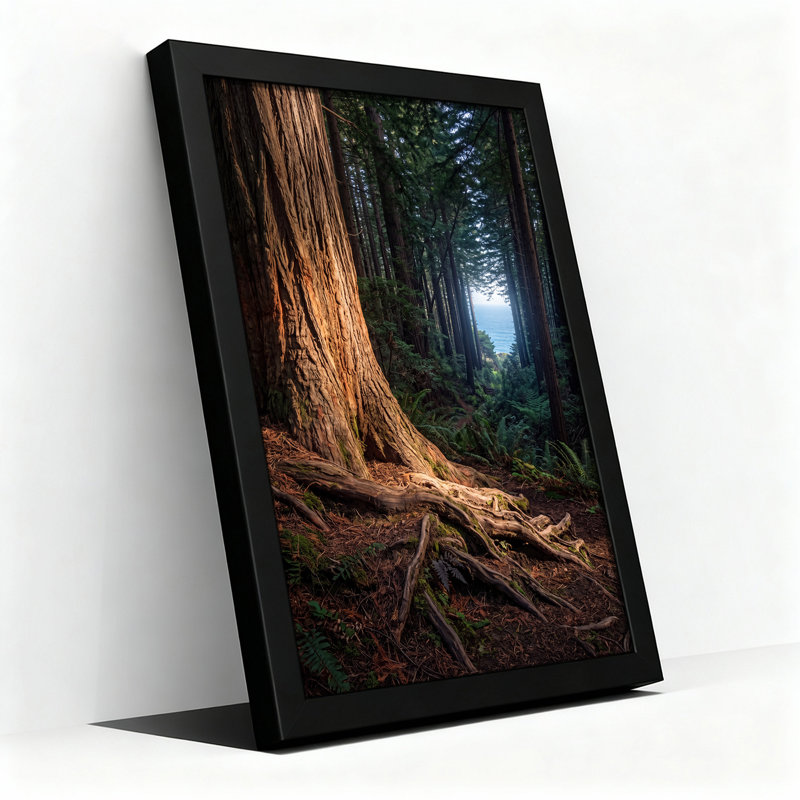 Art mural sur toile Exposed Tree Roots and Coastal Forest Ocean View, H 18 po x l 12 po