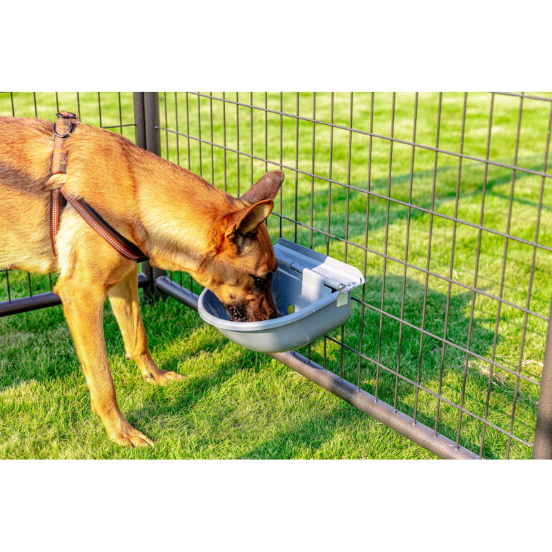40oz. Automatic Water Dish