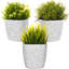 Abellas-Bauzo Pot Planter-1422744770