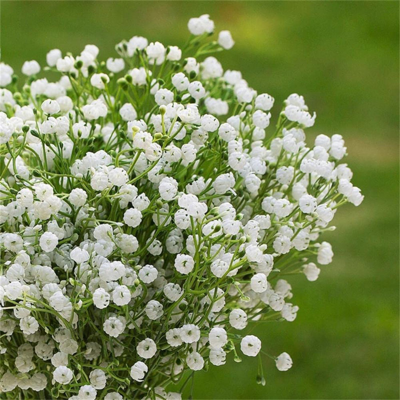 Arrangements floraux de bébé