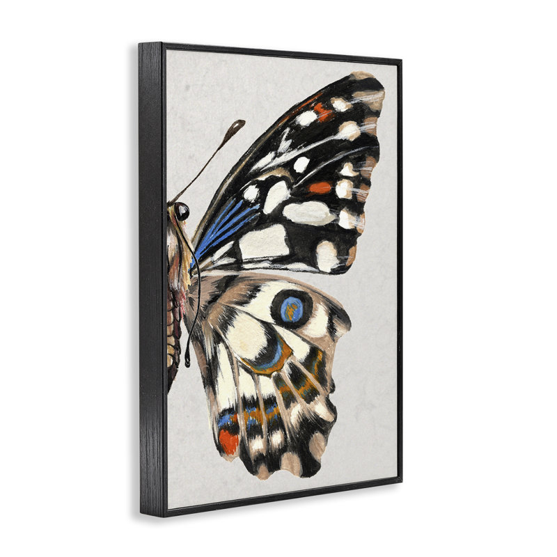 Aile de papillon avec taches encadrées par Melissa Wang, H 18 po x l 12 po, Giclée encadrée noir minuit