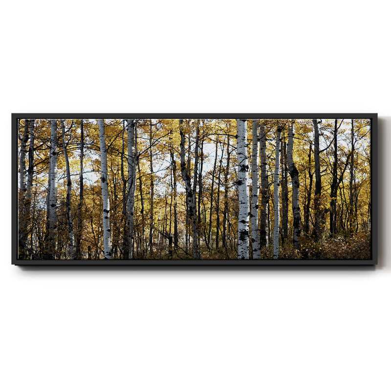 Sunny Grove - toile encadrée, H 20 po x l 50 po