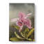Pink Orchids by Martin Johnson Heade - Wrapped Canvas Painting-61838503