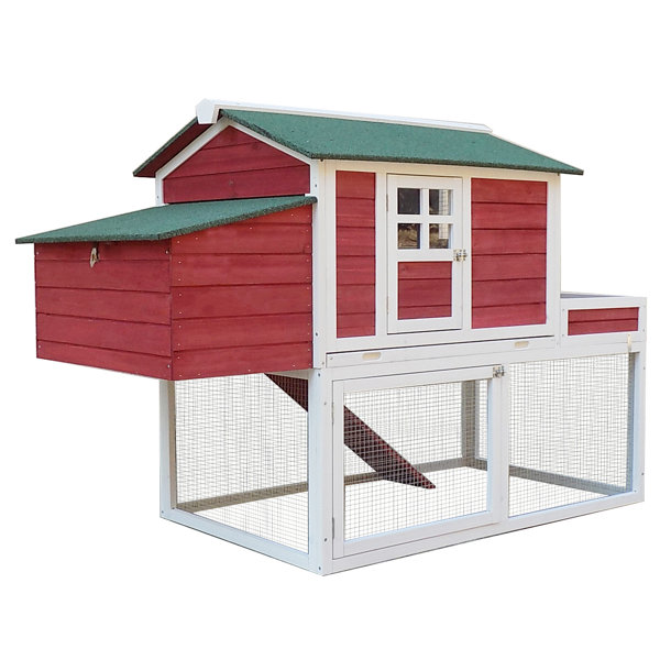 Extra Large Walk In Chicken Coops You'll Love | Wayfair
